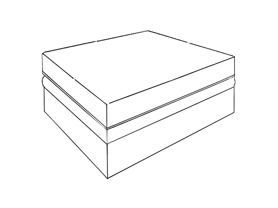sketch
